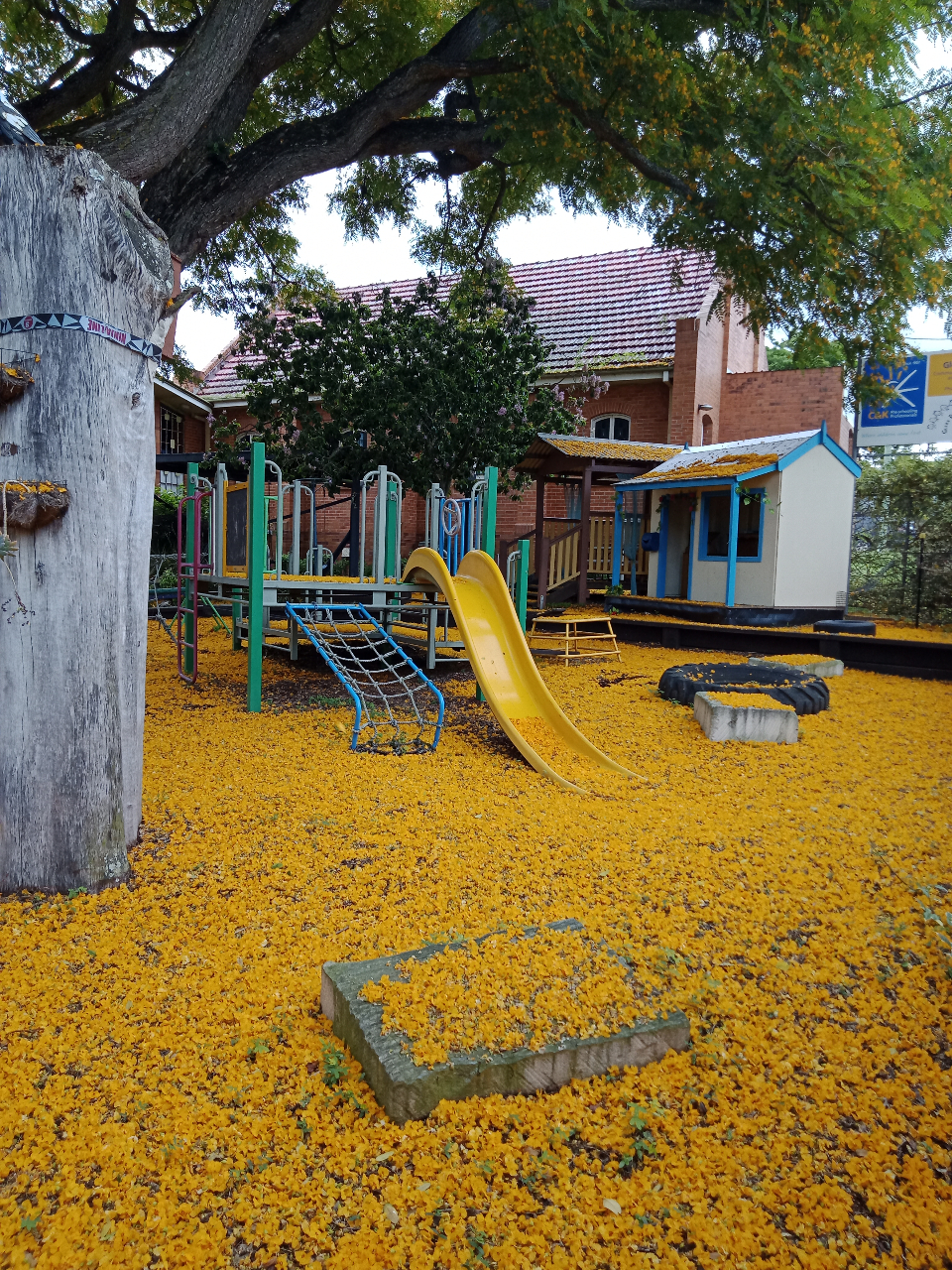 playground photo.jpg